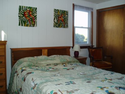 bird room